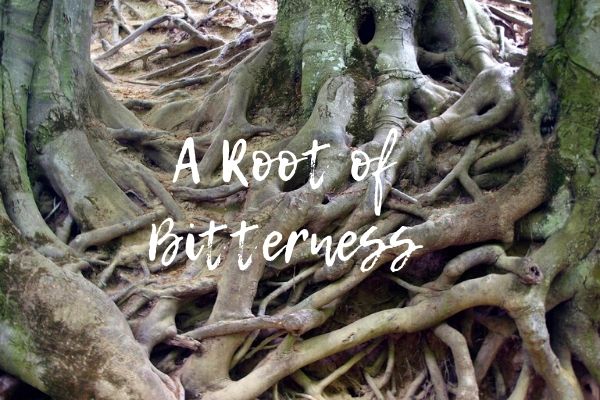 A-Root-of-Bitterness